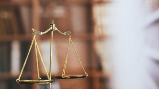 Rzecznik Praw Obywatelskich – co warto o nim wiedzieć?